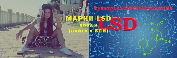 стафф Покачи