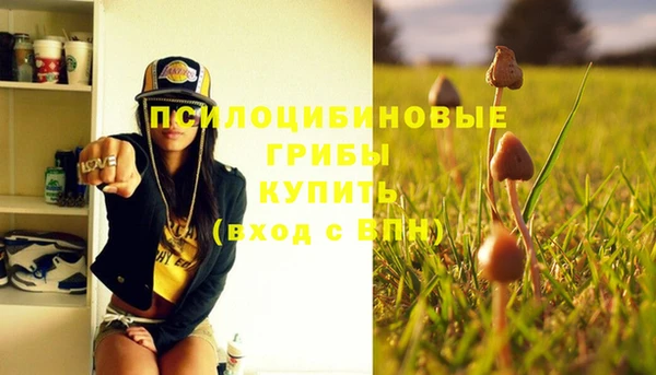 спиды Покровск