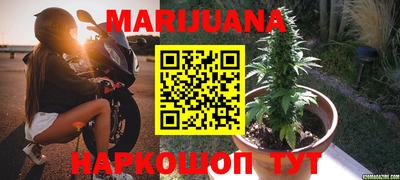 индика Наро-Фоминск