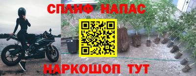 индика Наро-Фоминск